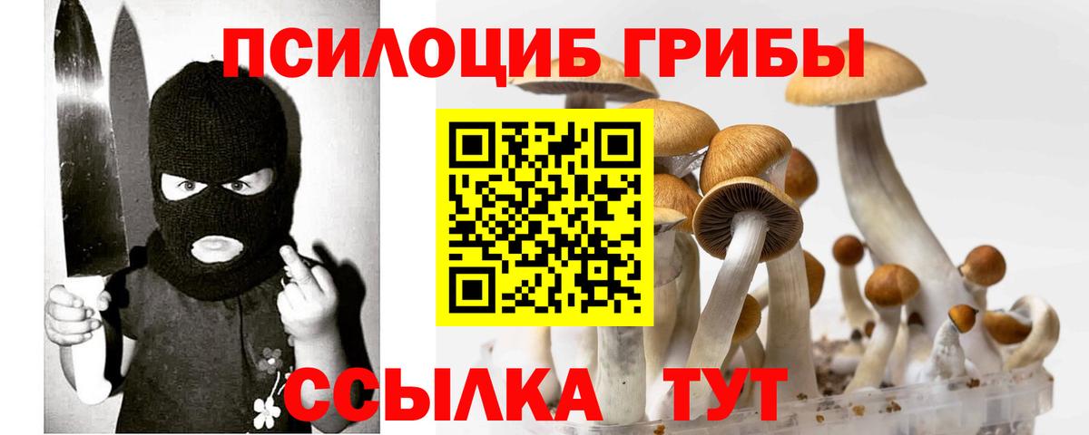 Семилуки  Псилоцибиновые грибы ЛСД  Вход с VPN 